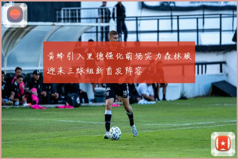 黄蜂引入里德强化前场实力森林狼迎来三球组新首发阵容