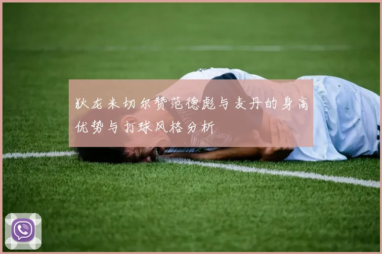 狄龙米切尔赞范德彪与麦丹的身高优势与打球风格分析